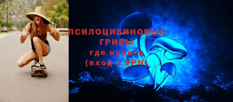 что такое   Ермолино  Галлюциногенные грибы Psilocybe 